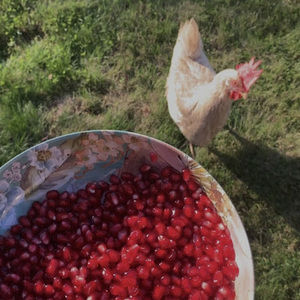 Meet your Posher, Enas